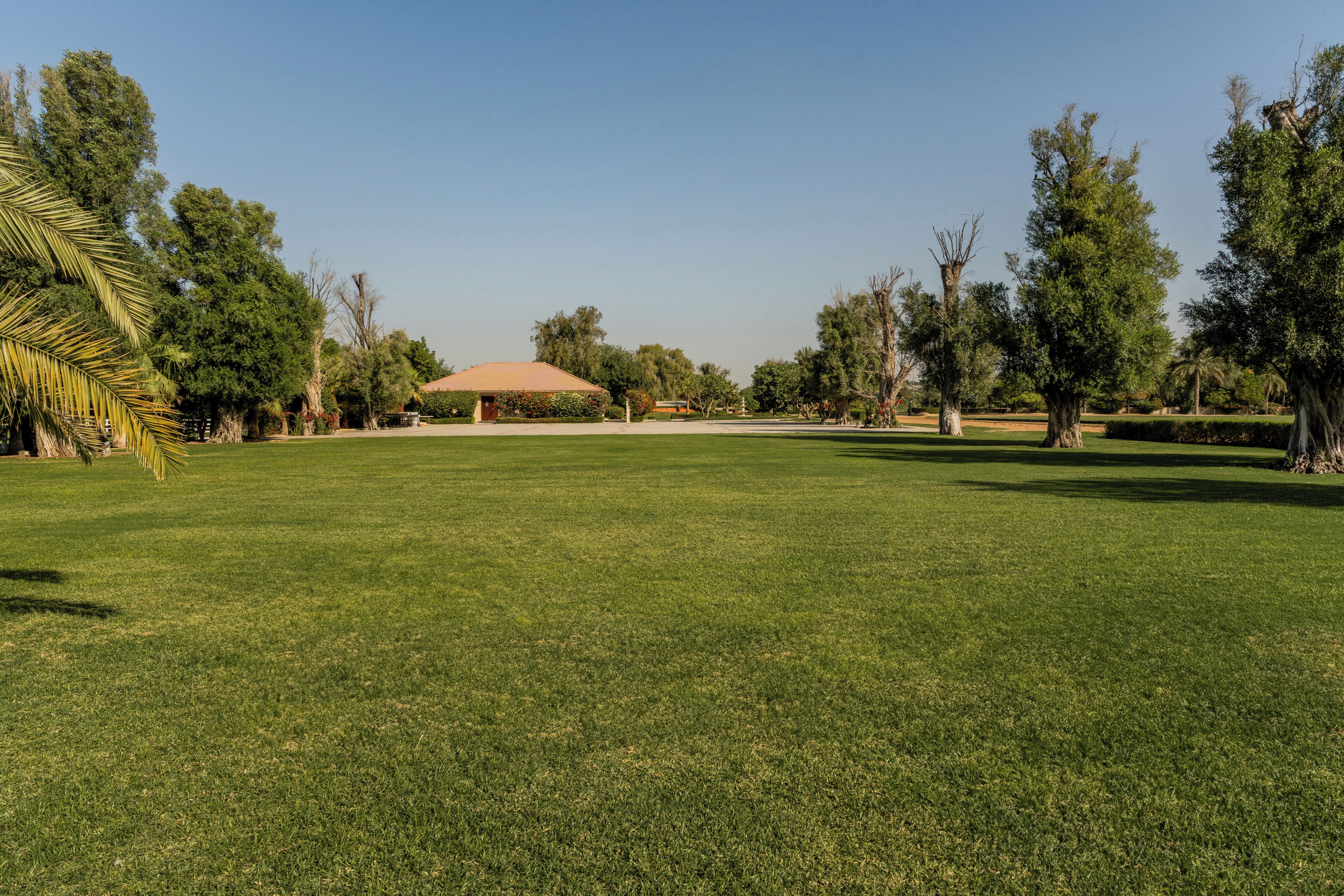 A well-maintained grassy area with a large building in the background, surrounded by trees.