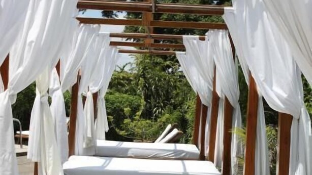 A single bed with a white canopy in a room with a view of greenery. - La Catalina Hotel and Suites (Jesús)