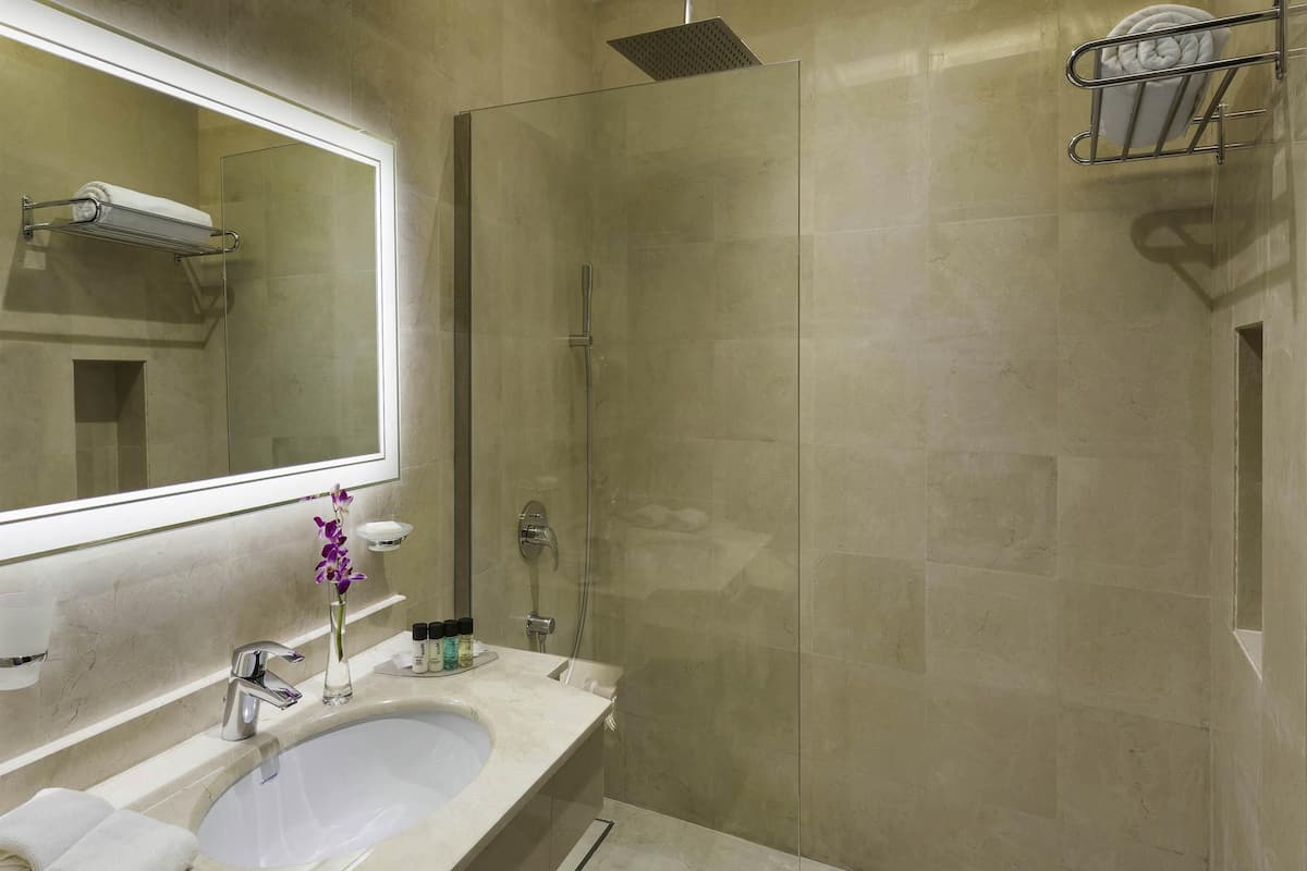 1 dormitorio, minibar, caja fuerte y escritorio