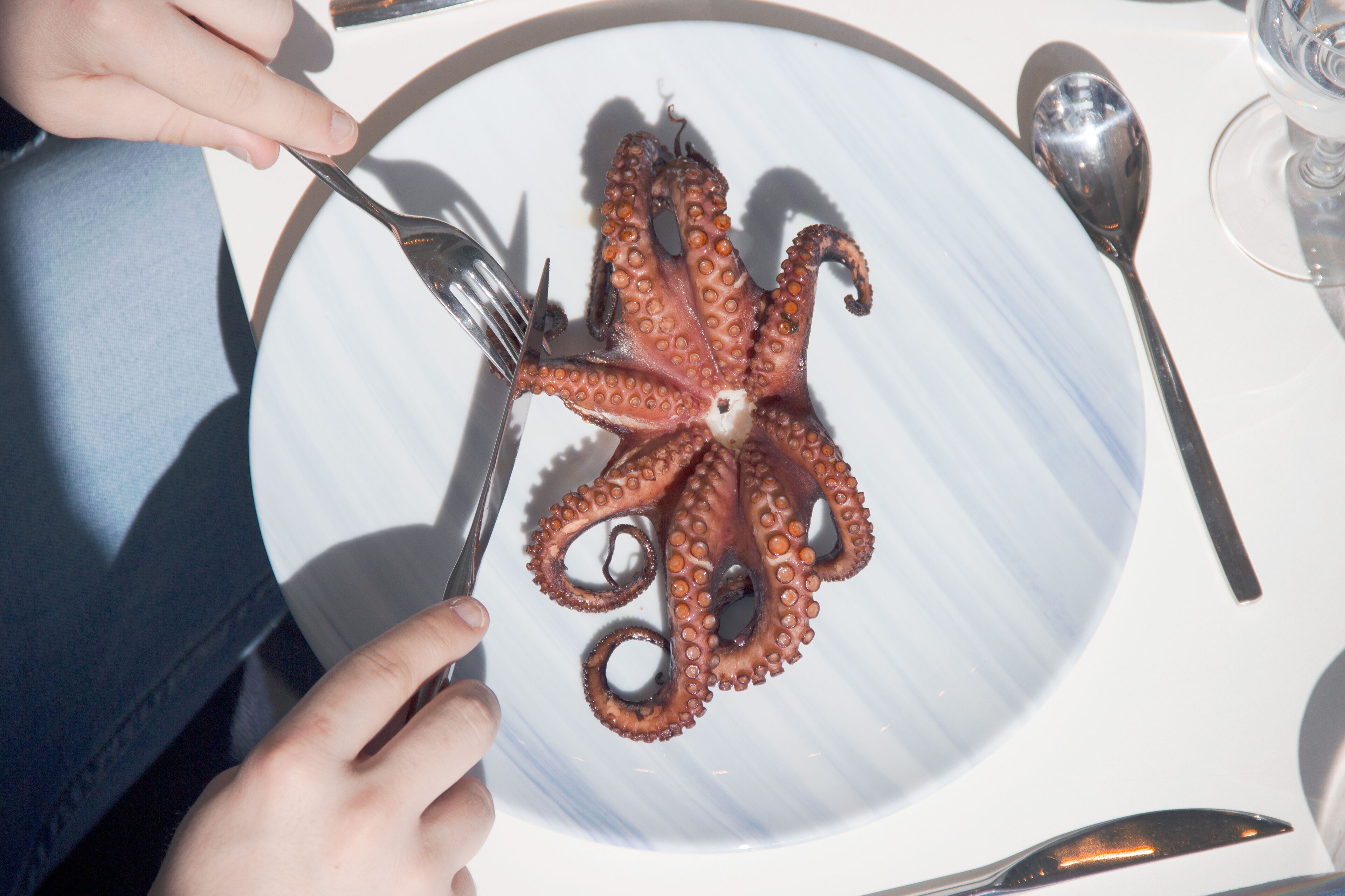 A plate with octopus tentacles arranged in a fan shape, a fork, and a spoon on a table.