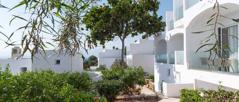 A courtyard with white buildings, a tree, and a pathway.