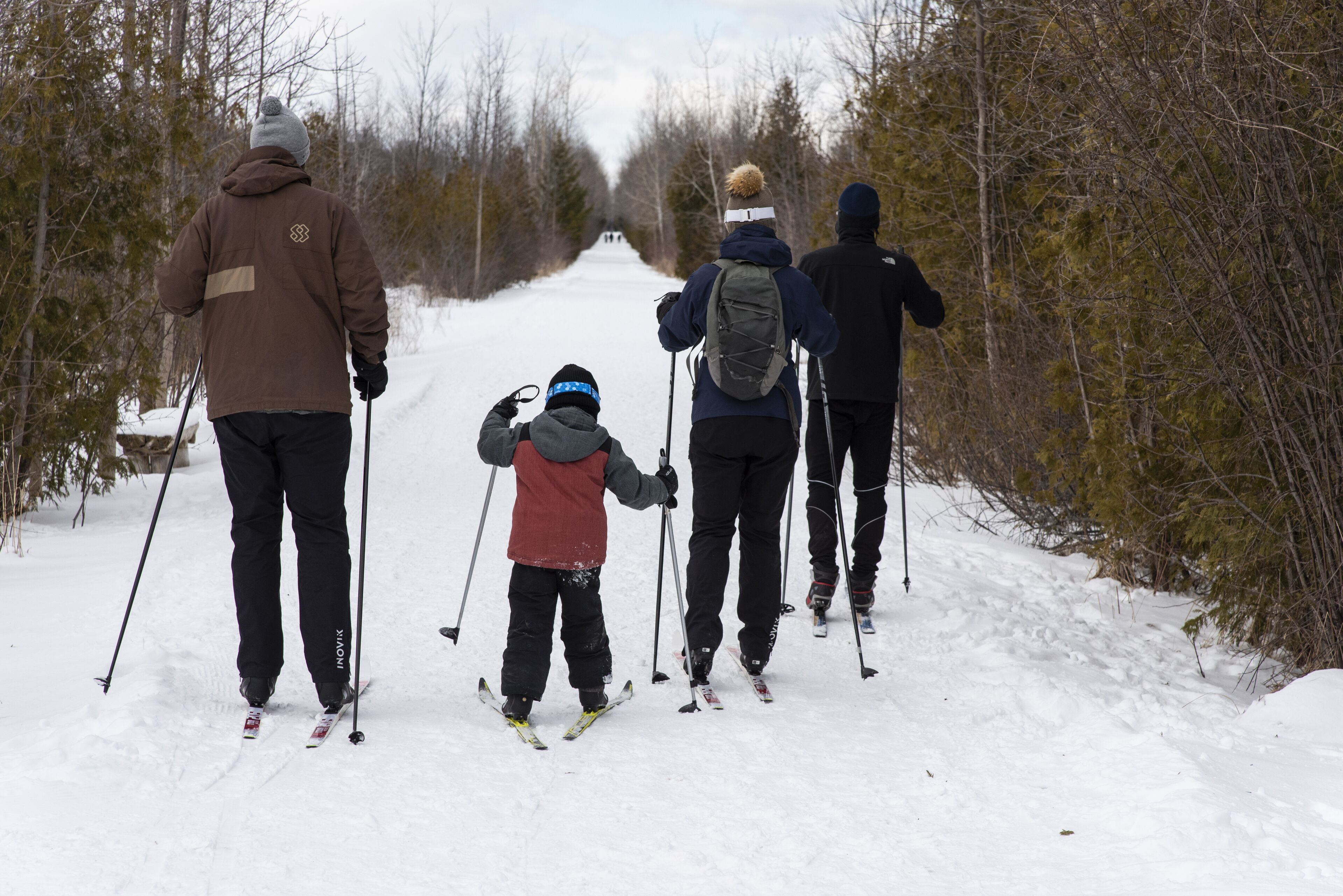 Een groep mensen skiet een sneeuwbedekte pad af, omringd door bomen.