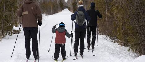 Een groep mensen skiet een sneeuwbedekte pad af, omringd door bomen.