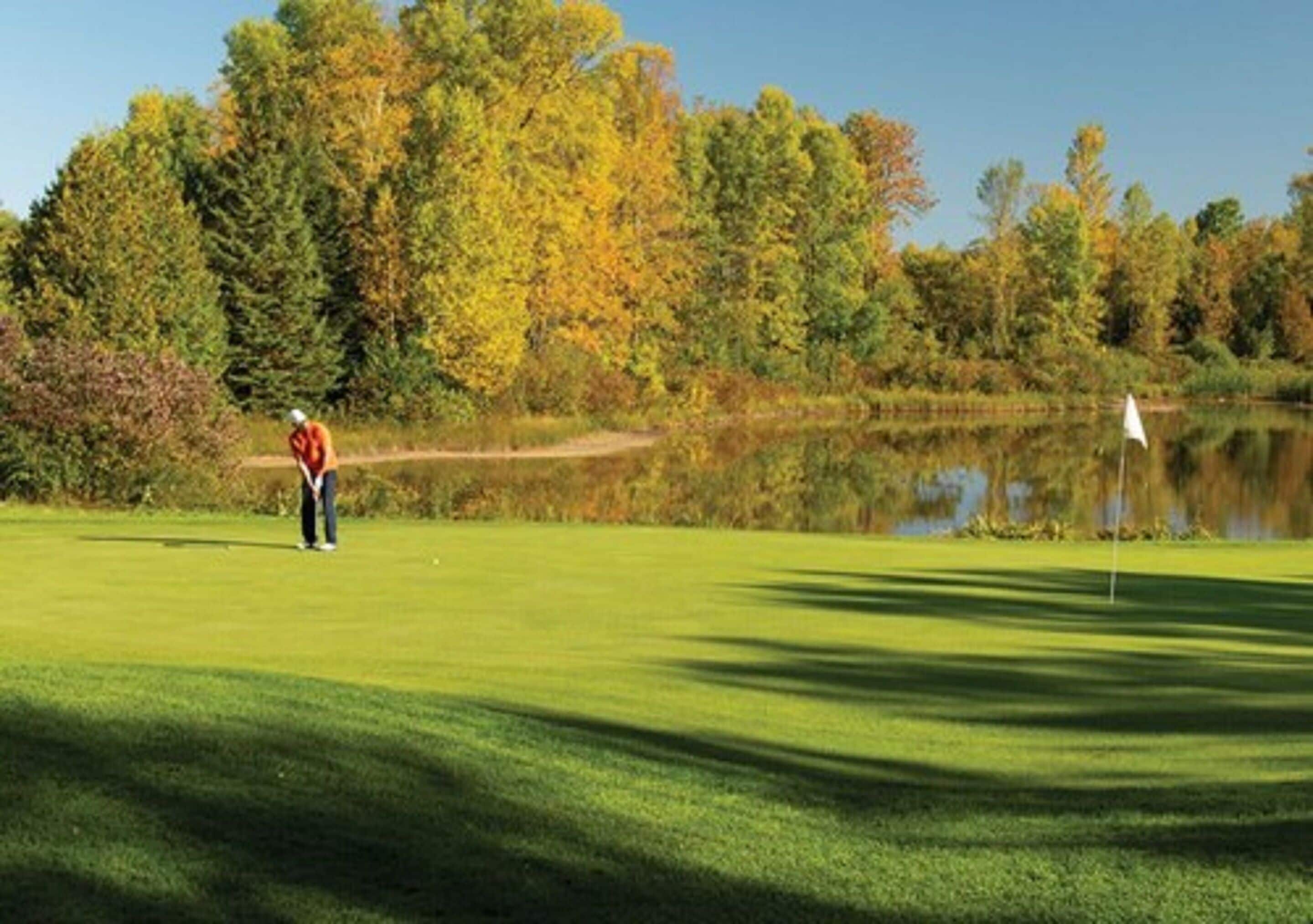 A golf course with a pond, trees, and a golfer.