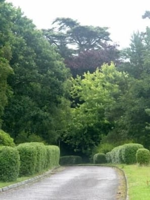 Parco della struttura