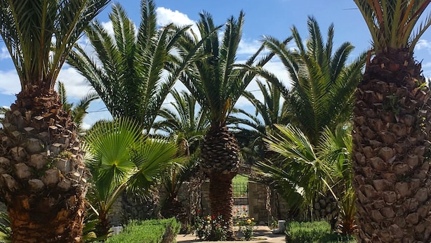 A pathway flanked by palm trees and a stone wall, leading to a gate. - Cambiocavallo Unesco Area & Resort (Modica)