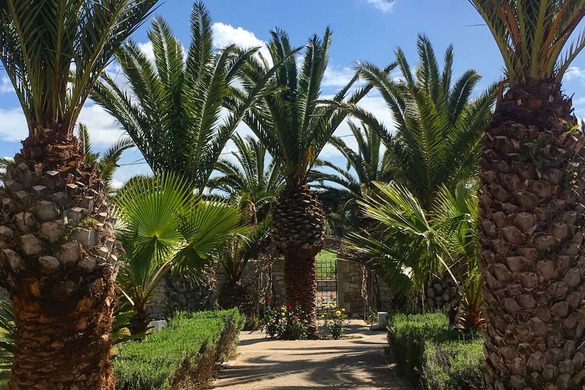 garden