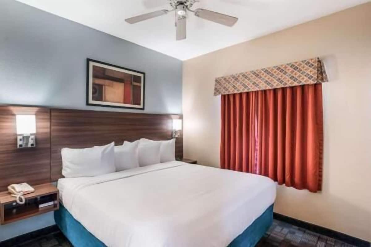 A hotel room with a bed, a ceiling fan, a nightstand with a phone, a wall-mounted light, and a window with curtains.