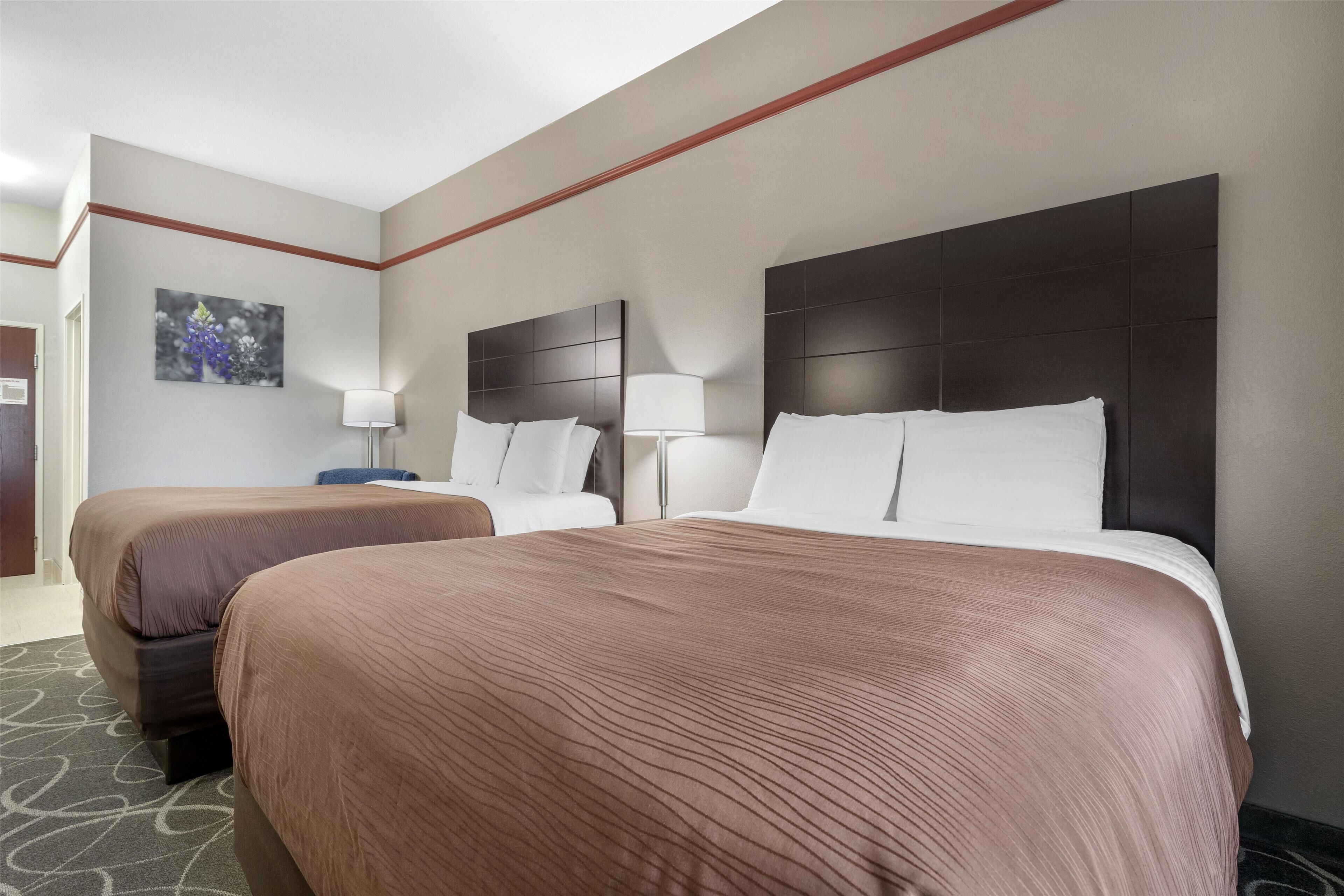 Quarto de hotel com duas camas, cabeceira, mesa de cabeceira, luminária e um quadro na parede.