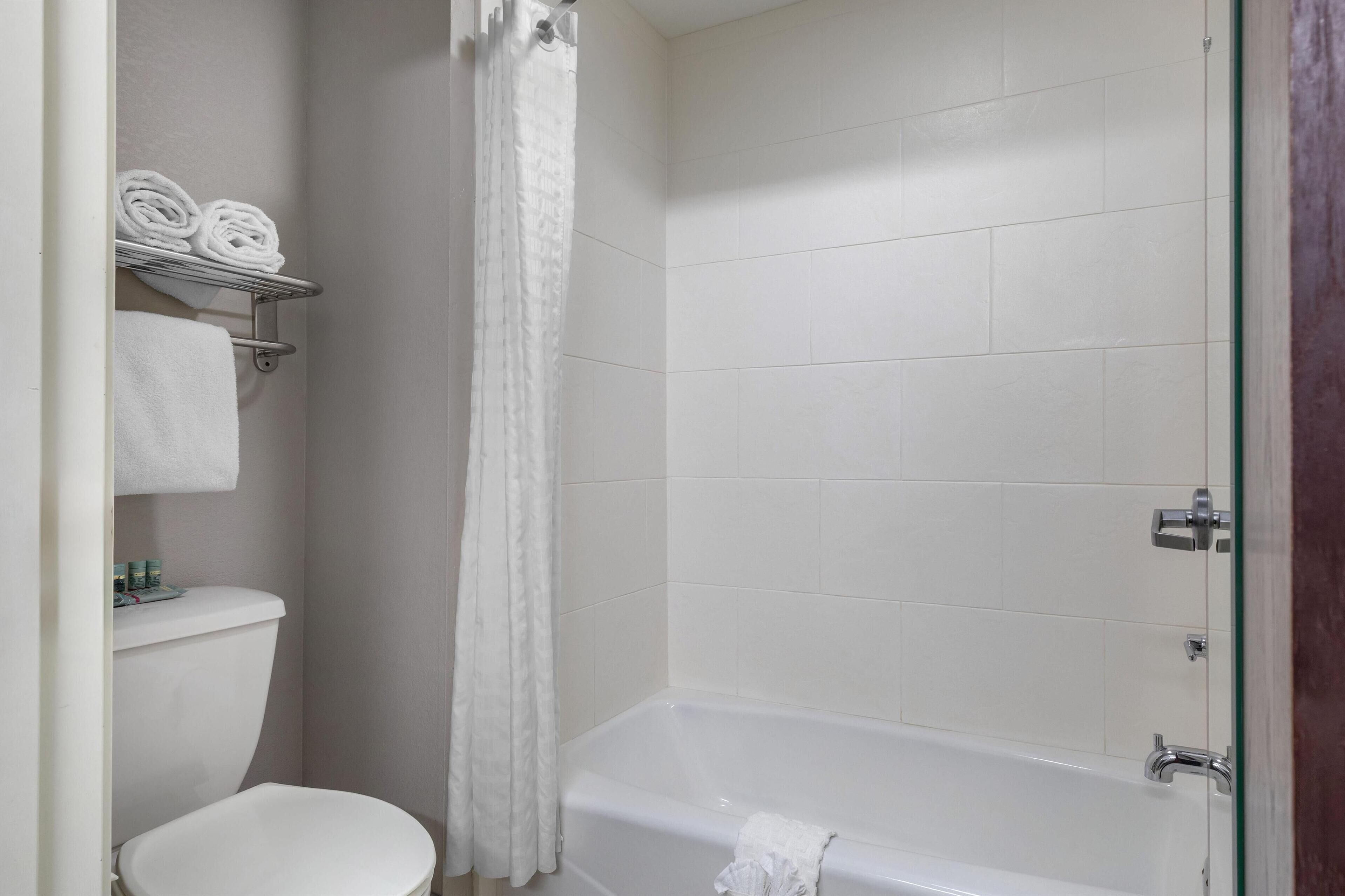 deluxe suite, 1 king bed, non smoking, refrigerator & microwave (with sofabed) | bathroom | free toiletries, hair dryer, towels, soap