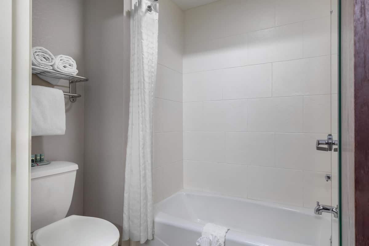 deluxe suite, 1 king bed, non smoking, refrigerator & microwave (with sofabed) | bathroom | free toiletries, hair dryer, towels, soap