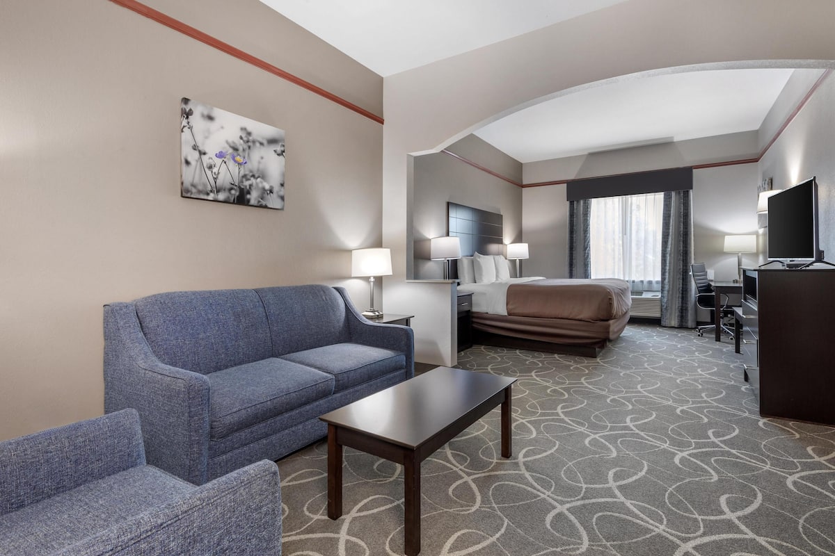 Deluxe Suite, 1 King Bed, Non Smoking, Refrigerator & Microwave (with Sofabed)