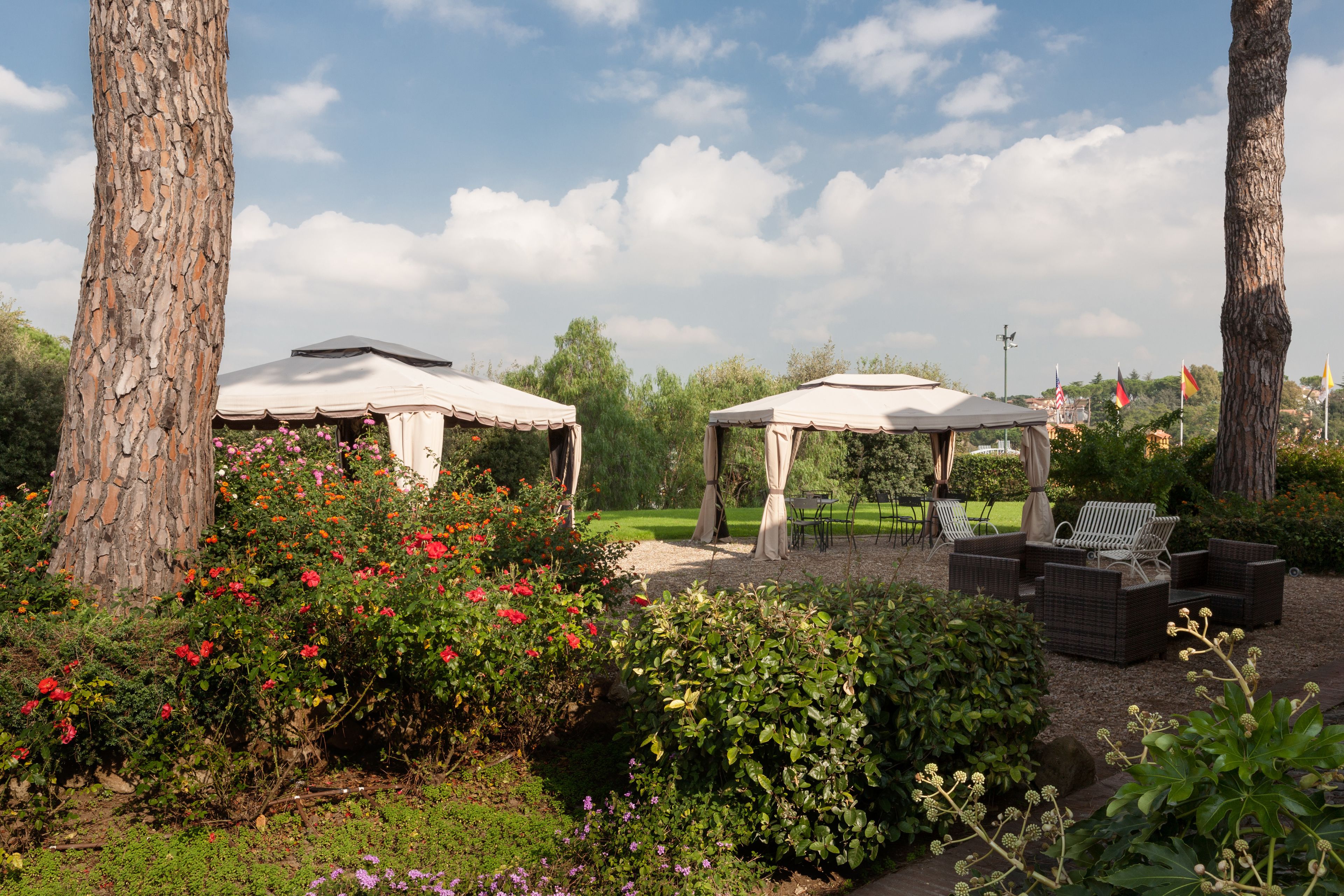 Foto - Hotel Selva Candida