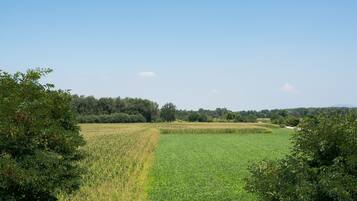 A rural landscape with fields and trees.
