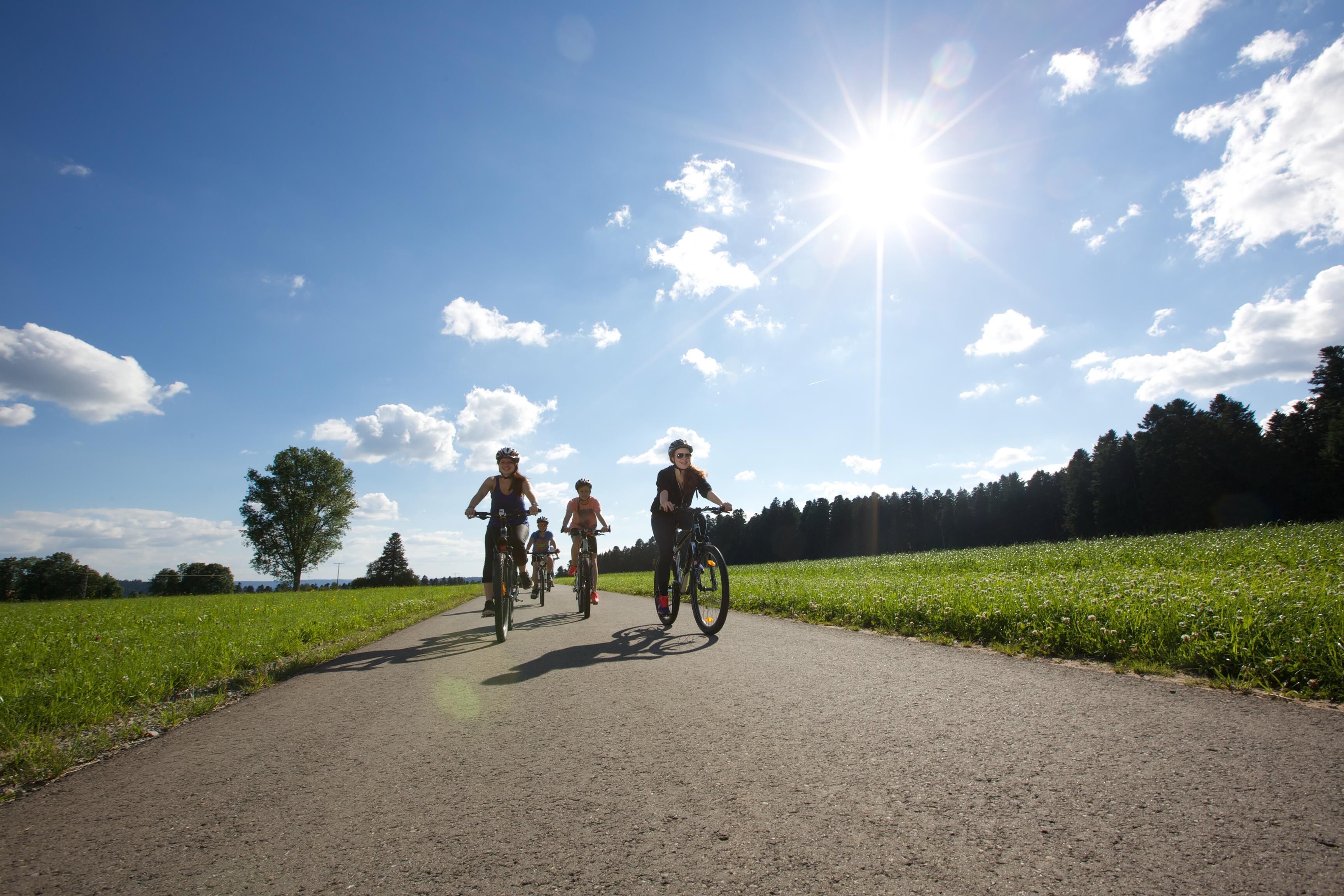 A paved path with cyclists, surrounded by green fields and trees under a clear sky.