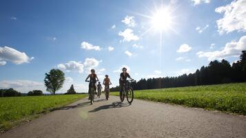 A paved path with cyclists, surrounded by green fields and trees under a clear sky.