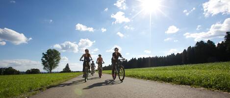 A paved path with cyclists, surrounded by green fields and trees under a clear sky.