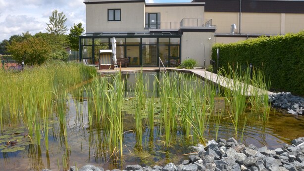 Une maison moderne dotée d’une véranda en verre, d’un étang bordé d’herbes hautes et d’un sentier en pierre.
