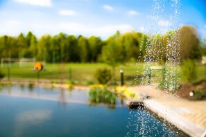 Piscine extérieure (ouverte en saison)
