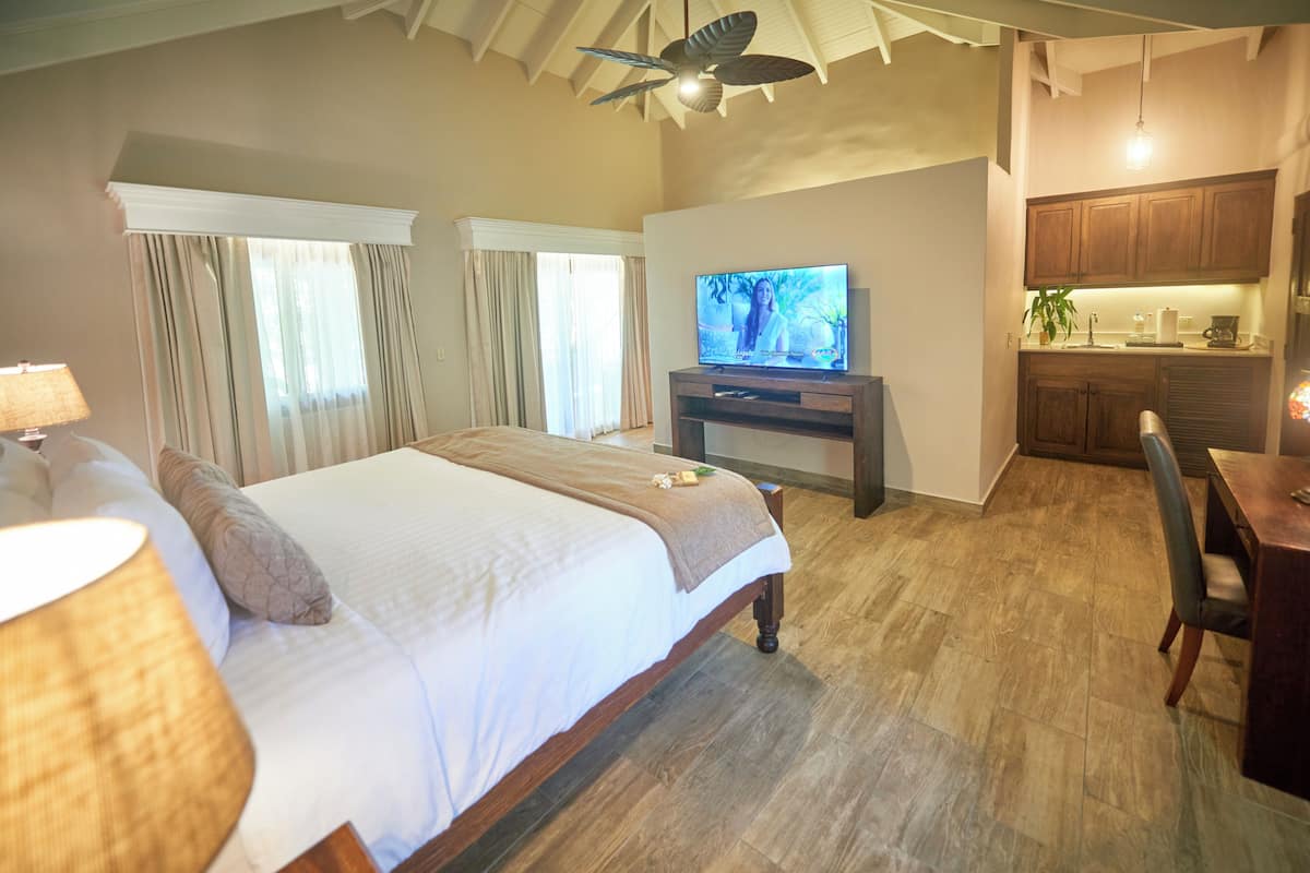 Une chambre avec un lit, une télévision et un coin cuisine.