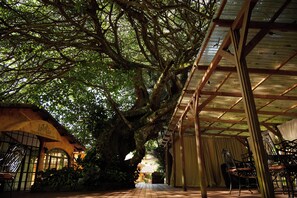 An indoor covered area with a wooden ceiling, a stone wall, and a bench.