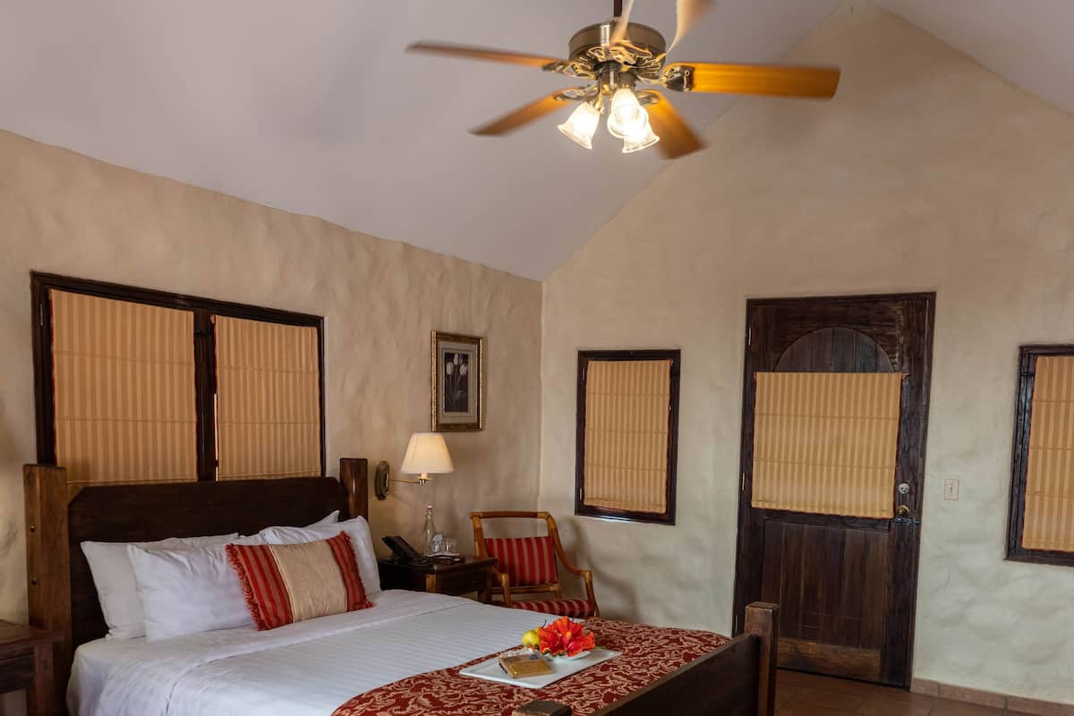 A bedroom with a wooden bed, a ceiling fan, a bedside table with a lamp, and a door with a window.