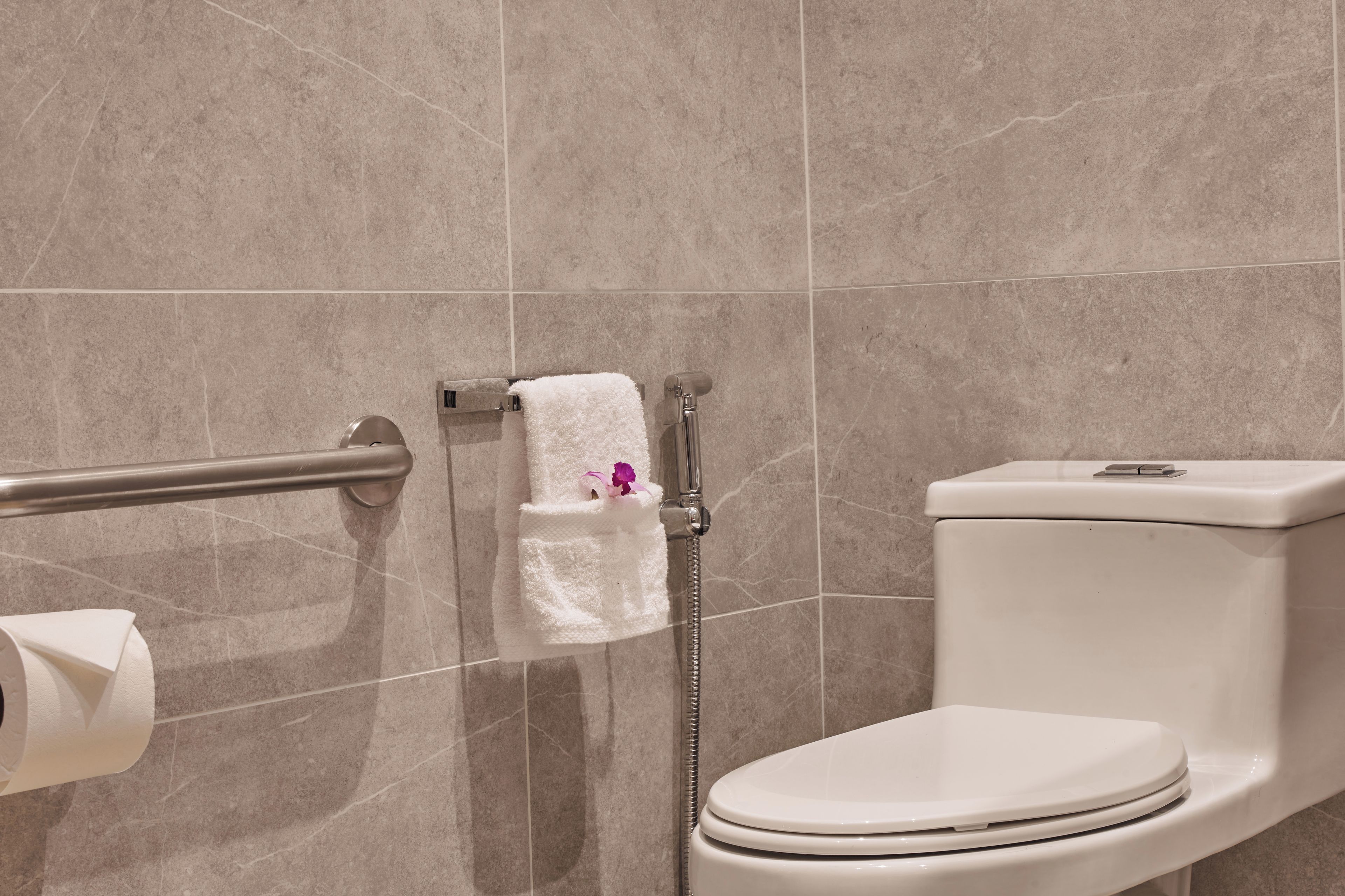 A bathroom with a toilet, a handrail, and a towel rack.