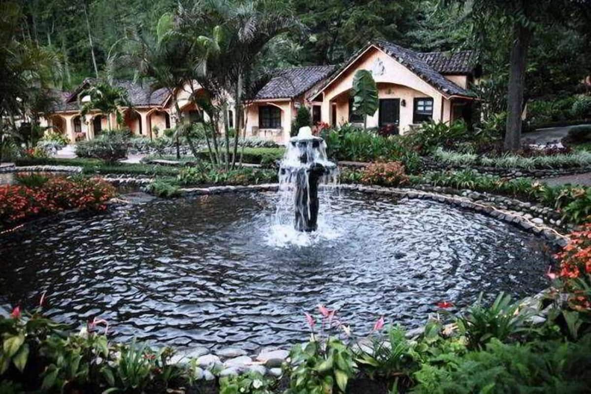 Un jardin agrémenté d’un élément aquatique central, entouré de plantes tropicales et bordé d’un bâtiment dont le toit est recouvert de tuiles.