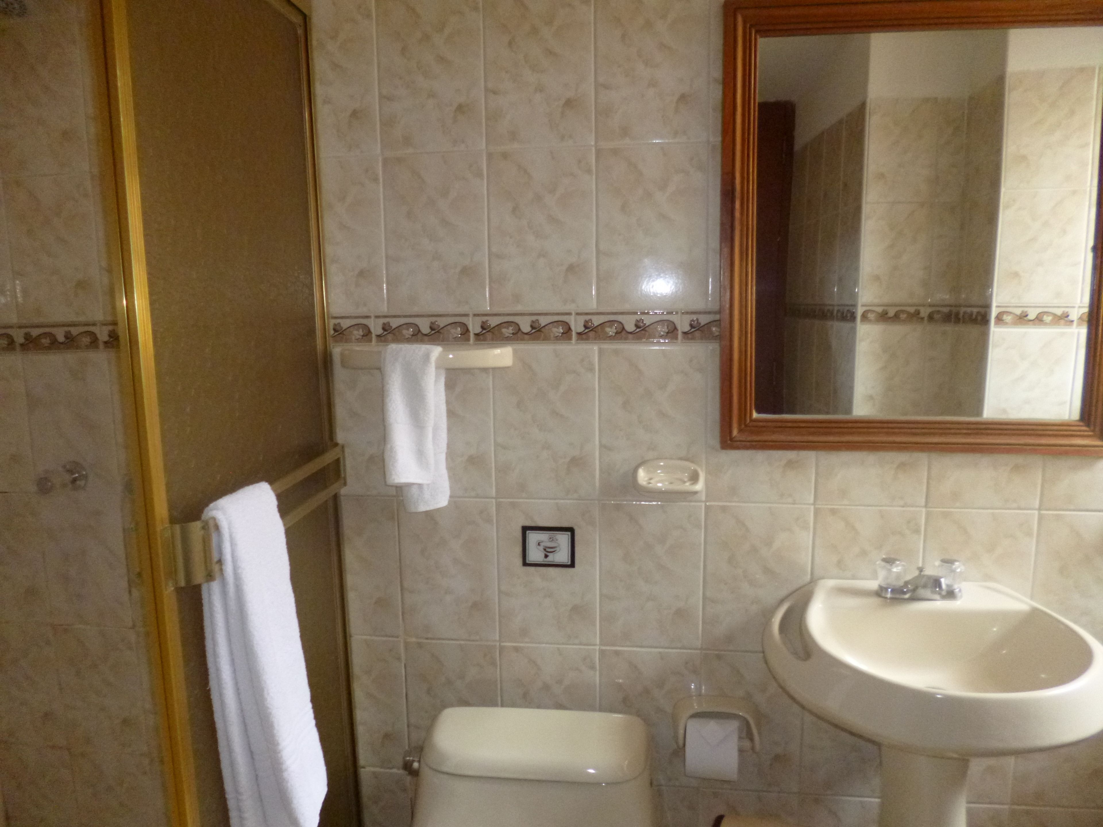 superior double room | bathroom | shower, free toiletries, towels