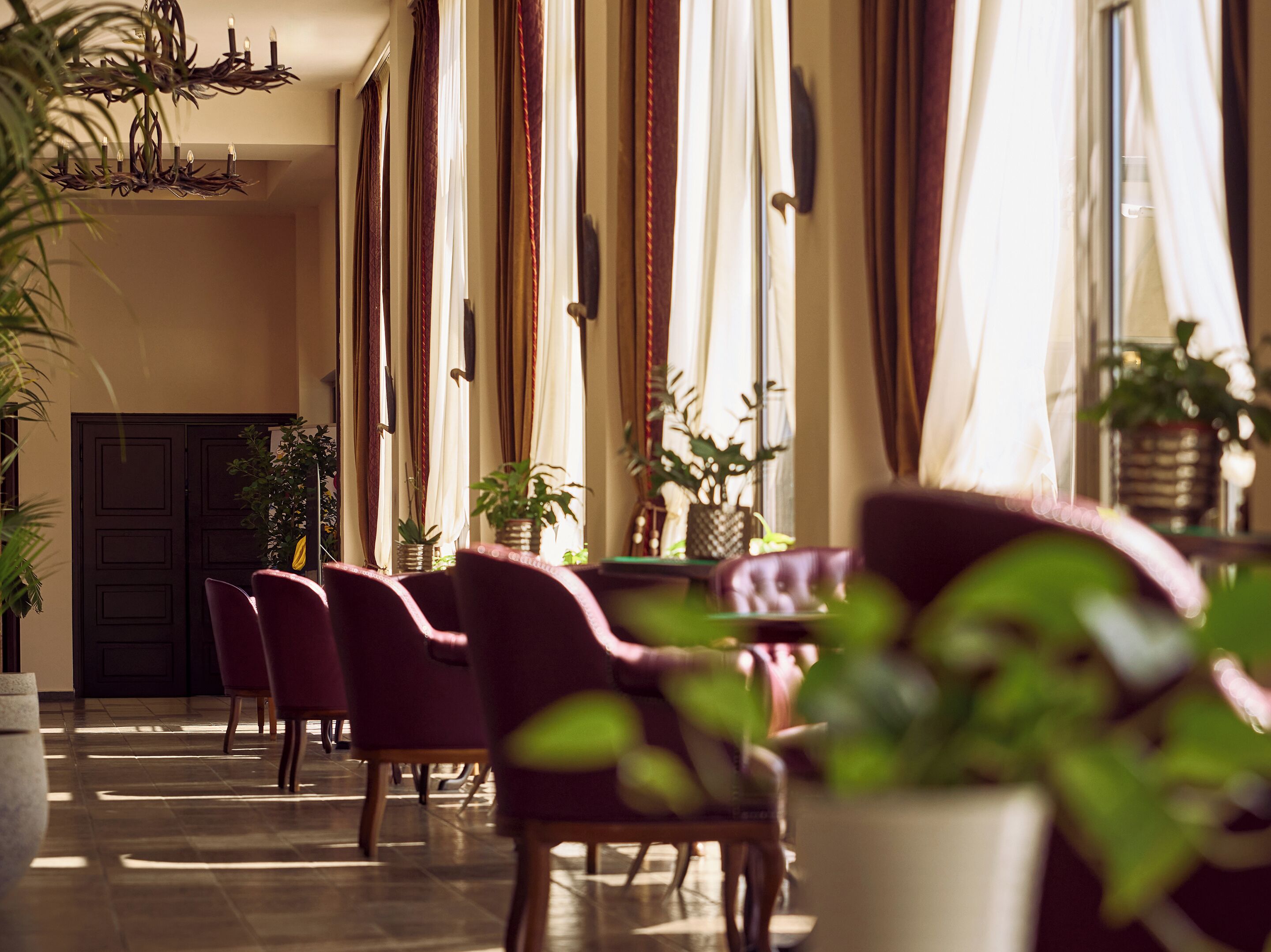 Un comedor con candelabro, sillas rojas y plantas en macetas.