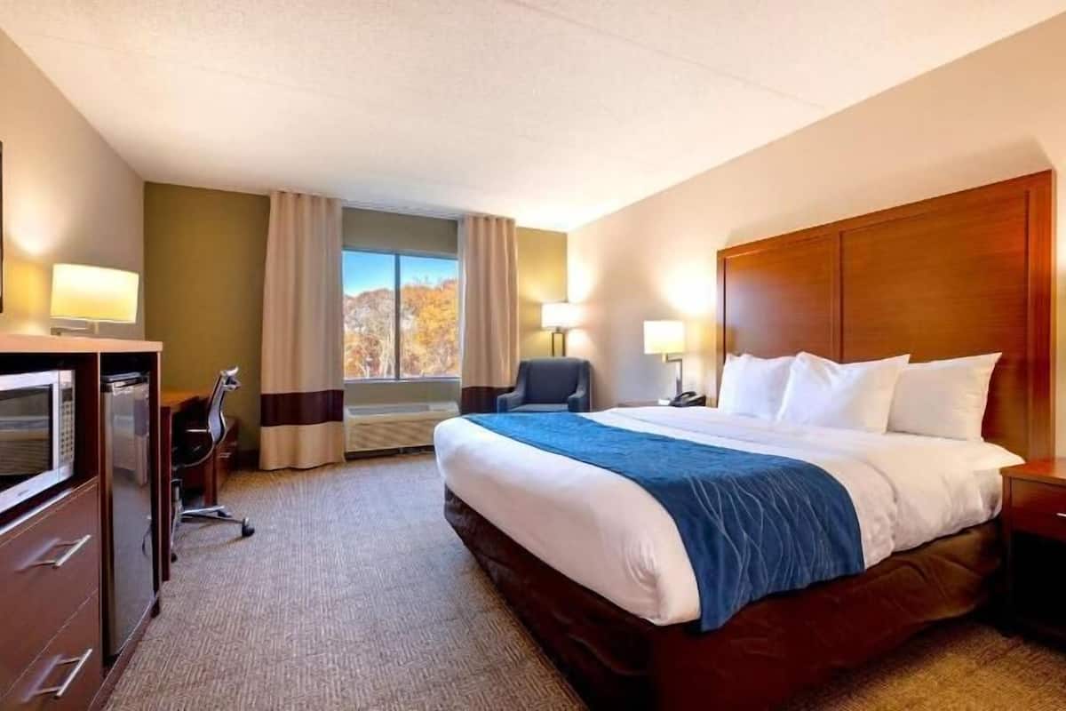 Laptop workspace, blackout curtains, iron/ironing board, free WiFi