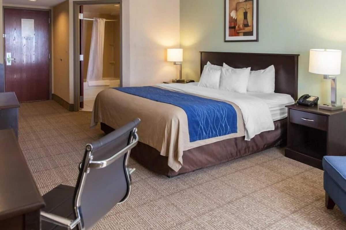 Laptop workspace, blackout curtains, iron/ironing board, free WiFi