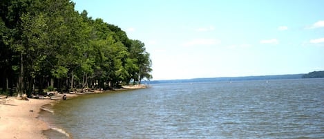A beach with a sandy shore, dense green trees, and calm water.