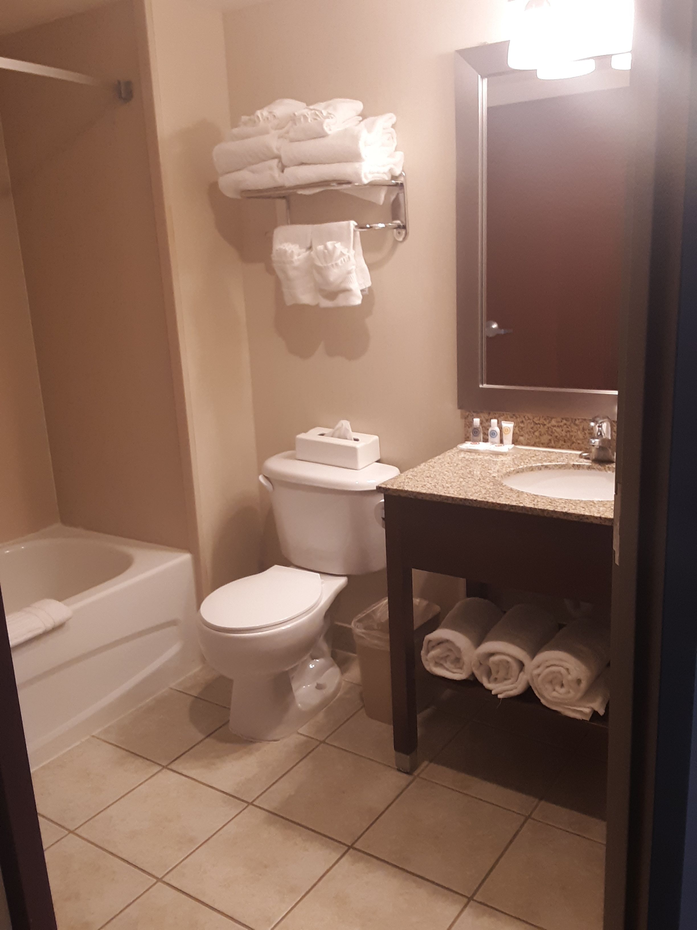 combined shower/bathtub, free toiletries, hair dryer, towels
