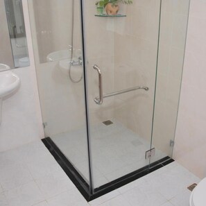 A glass-enclosed shower stall with a handrail, a white sink, and a potted plant on a shelf.