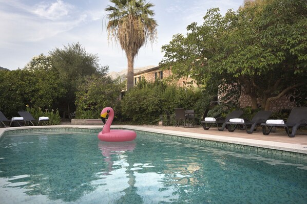 A swimming pool with lounge chairs and a flamingo float.