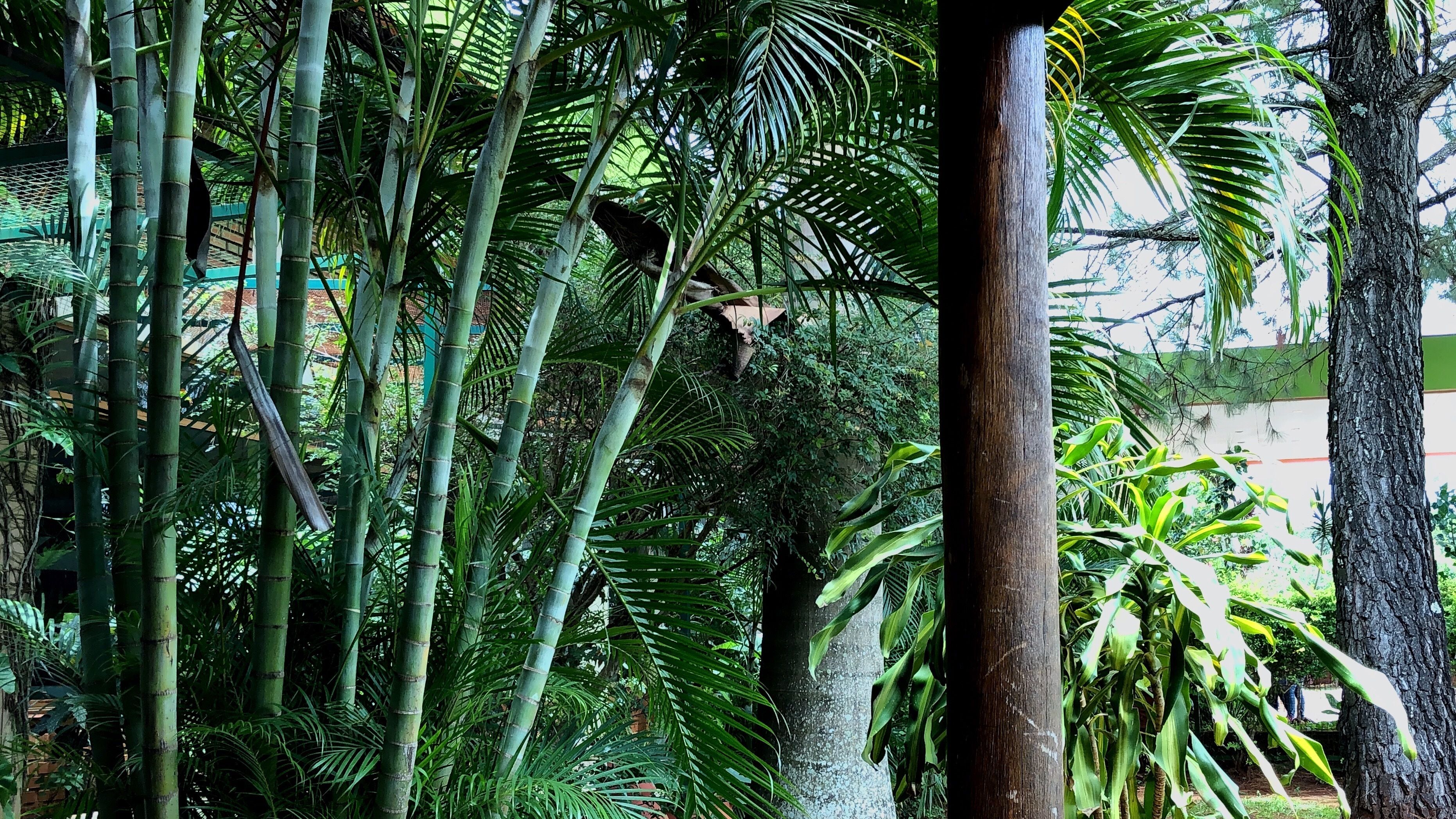 Vista desde la propiedad