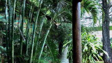 Vista desde la propiedad