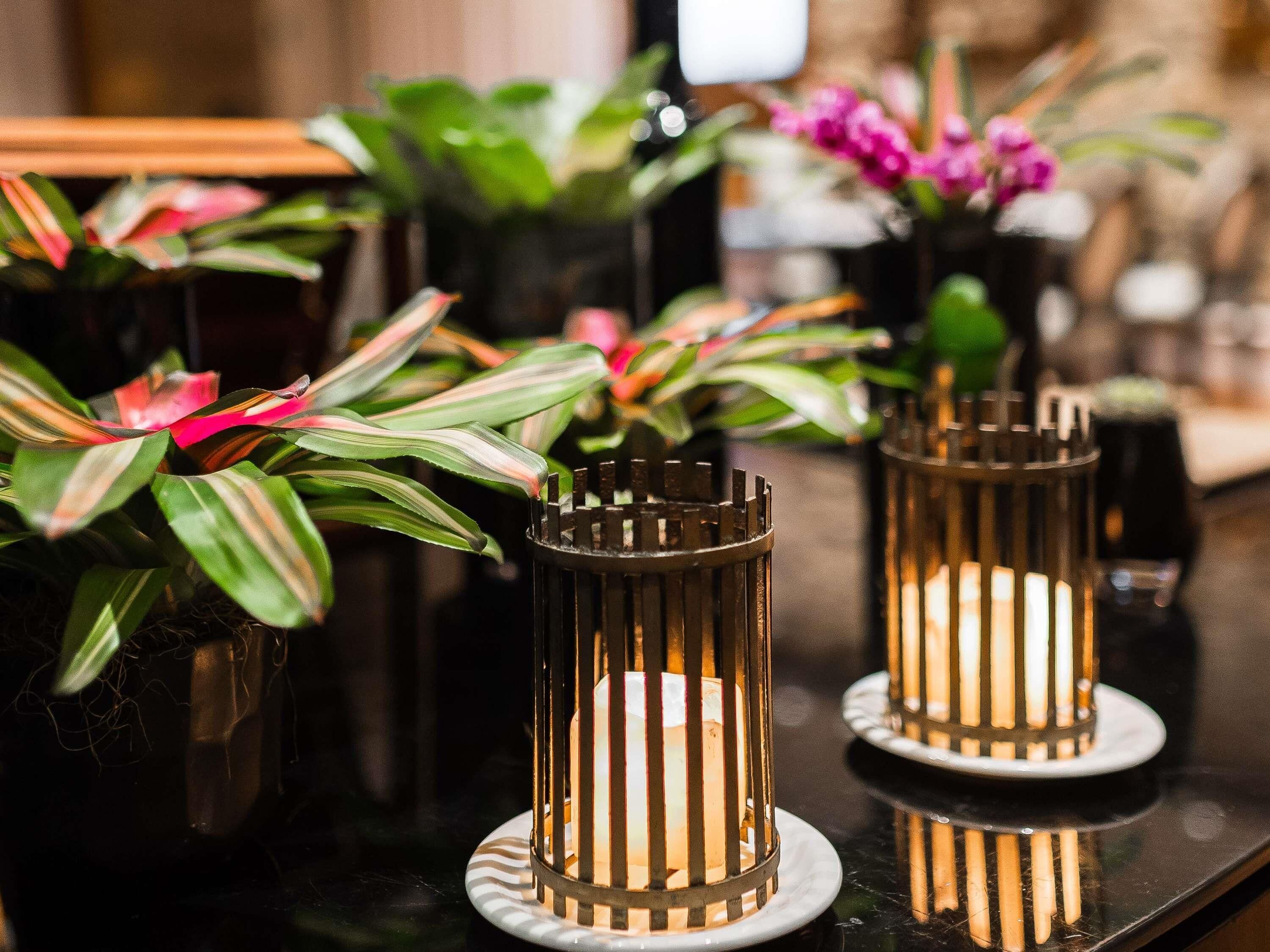 A close-up of a plant with striped leaves in a pot, a metal candle holder with a candle, and a blurred background with more plants.