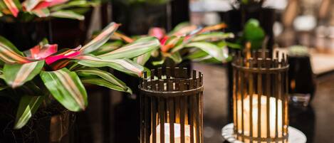 A close-up of a plant with striped leaves in a pot, a metal candle holder with a candle, and a blurred background with more plants.