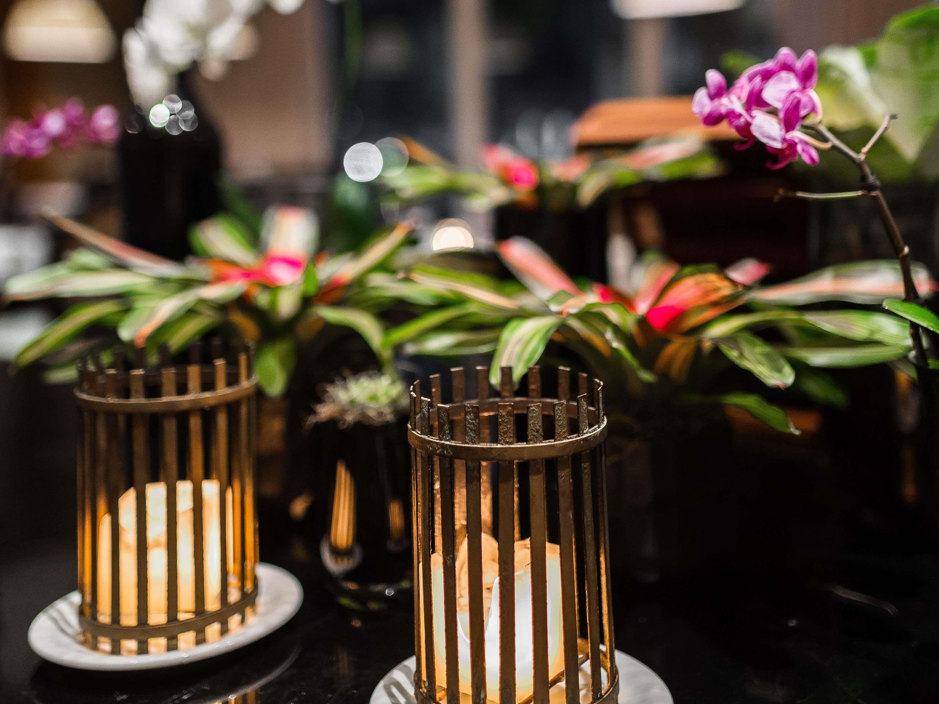 Two candle holders with plants, a vase with a plant, and a pink flower.