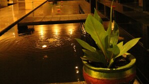 Ein moderner Poolbereich im Innenbereich mit einem Blumentopf im Vordergrund.