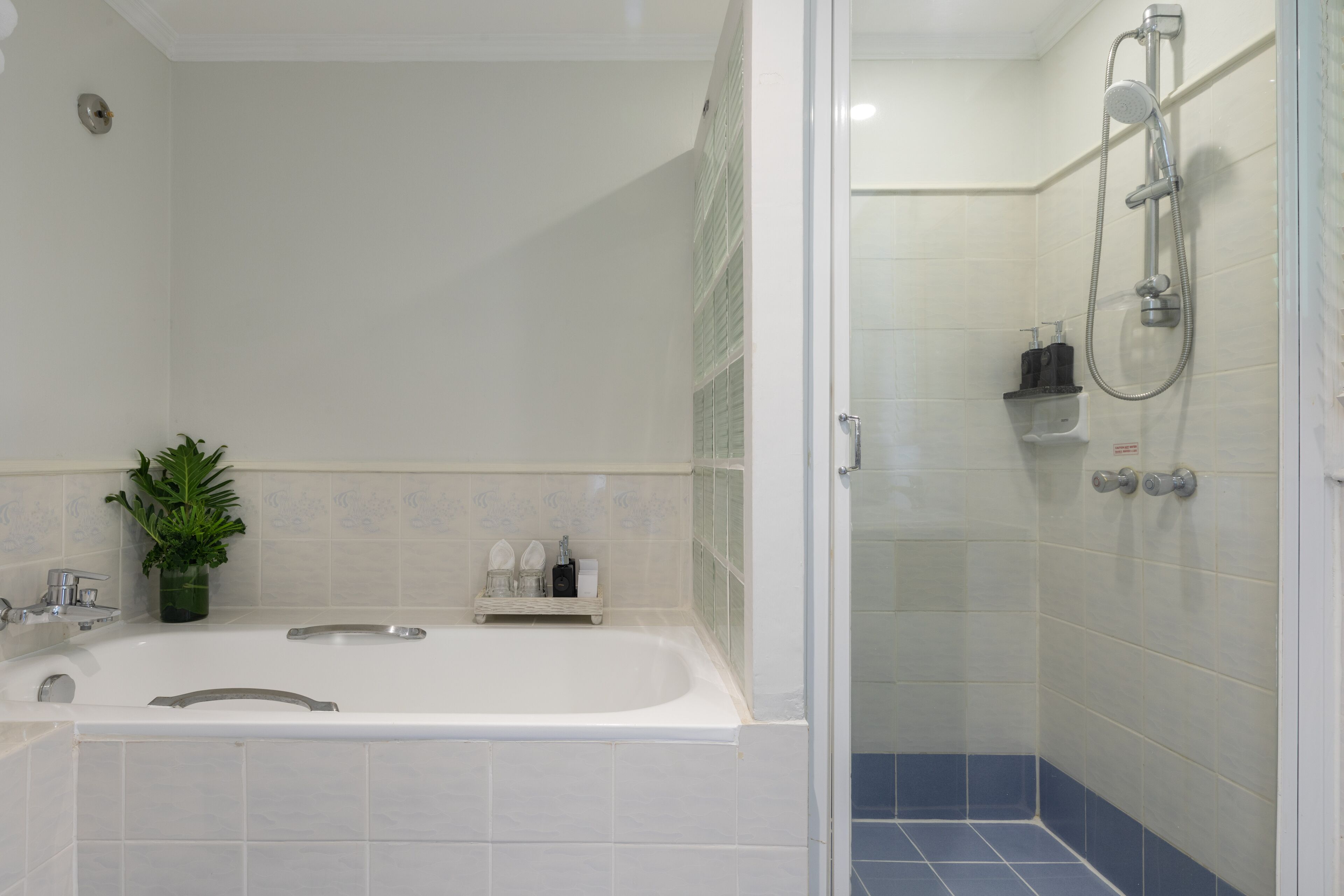 A modern bathroom with a bathtub, shower, and a potted plant.