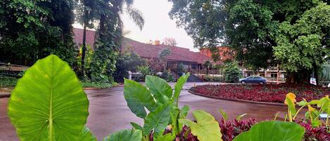 A hotel entrance with a wet driveway, surrounded by lush greenery and a red-roofed building in the background.