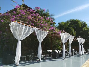 Outdoor pool, open 11:00 AM to 7:00 PM, pool loungers