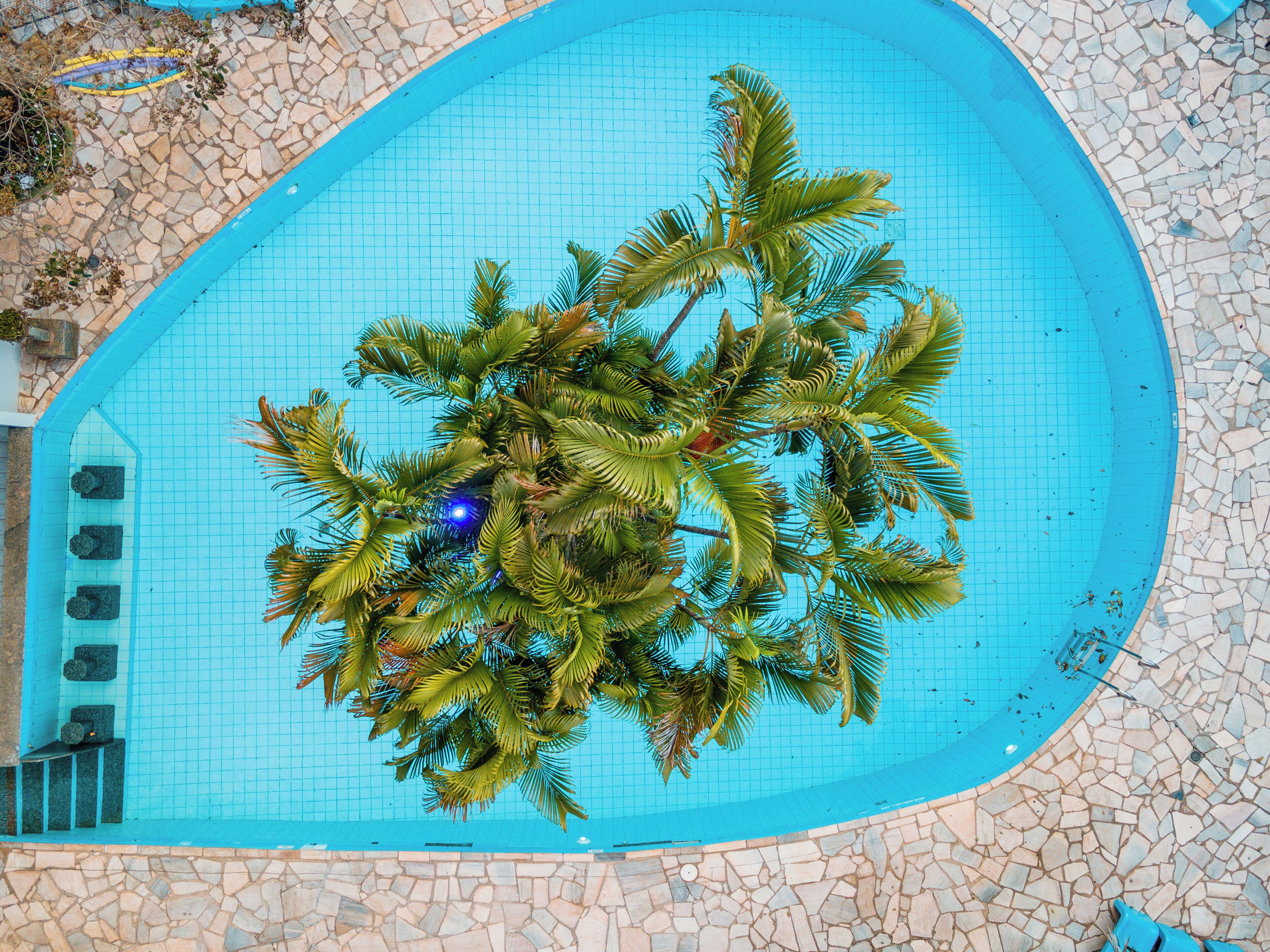 2 piscinas al aire libre