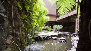 Un bassin à carpes koï agrémenté de rochers et de plantes, entouré d’un bâtiment doté de grandes fenêtres.