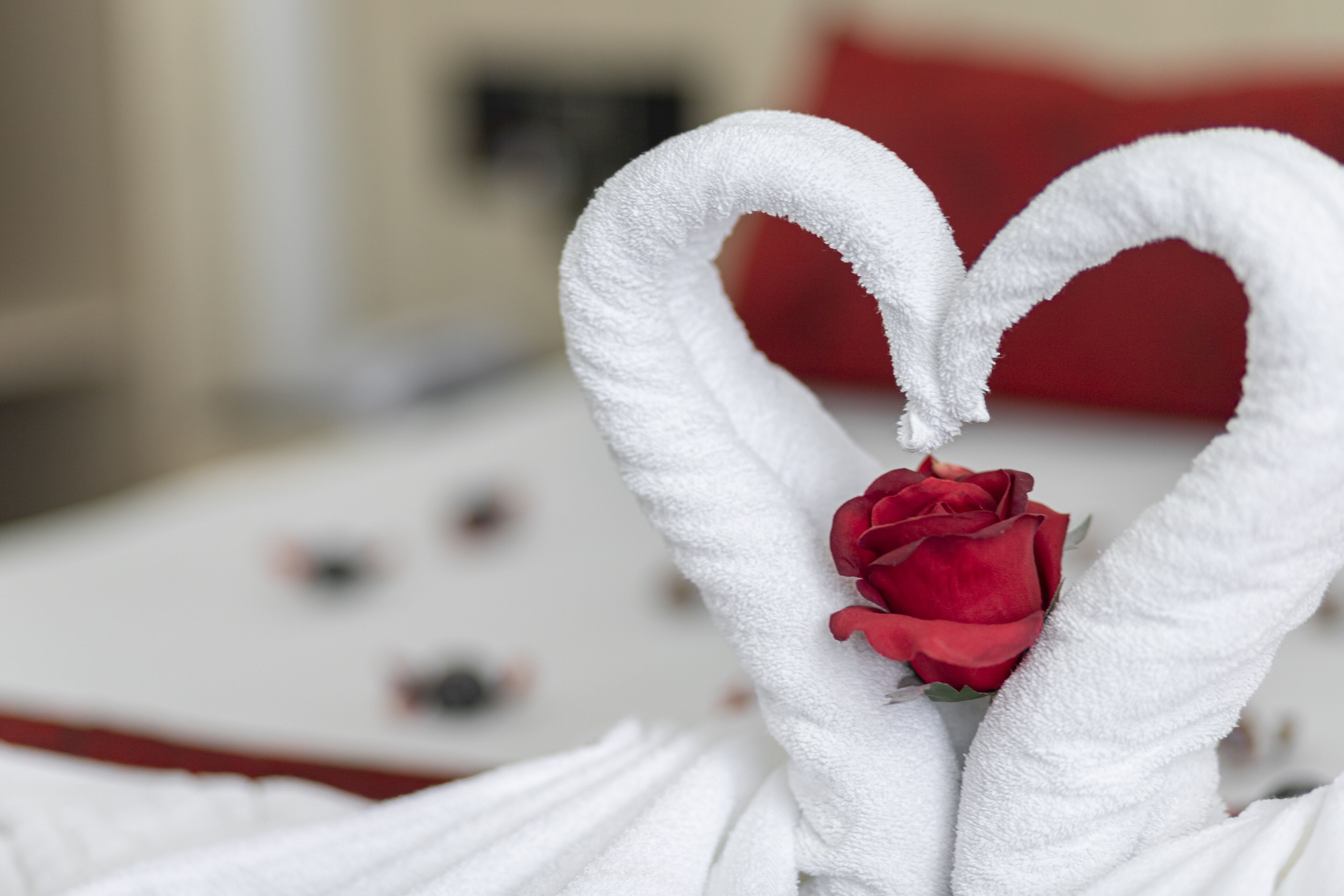 Foto - Hotel Ilha da Madeira