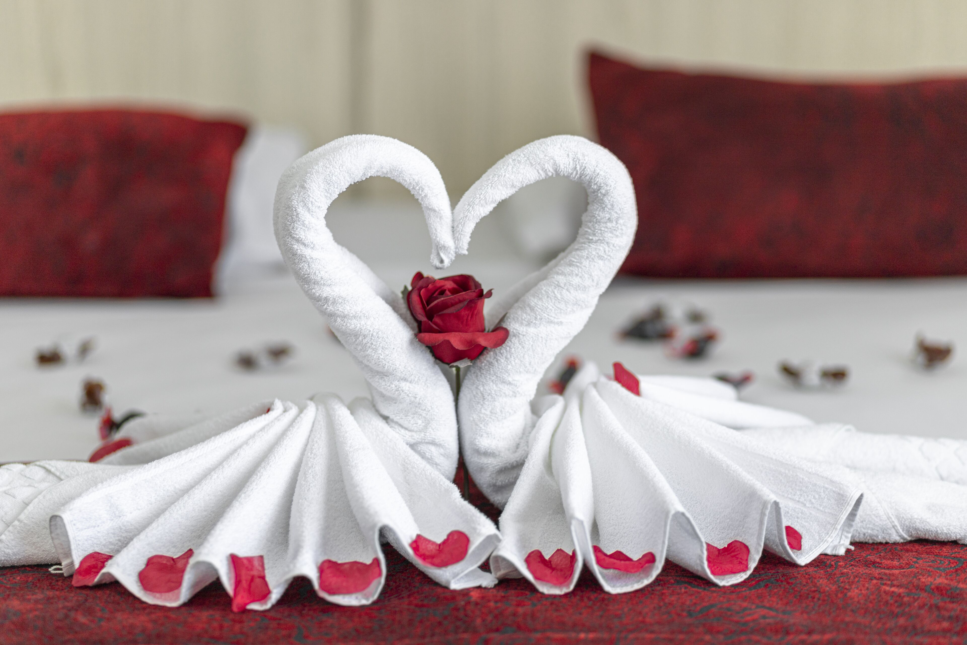 Foto - Hotel Ilha da Madeira