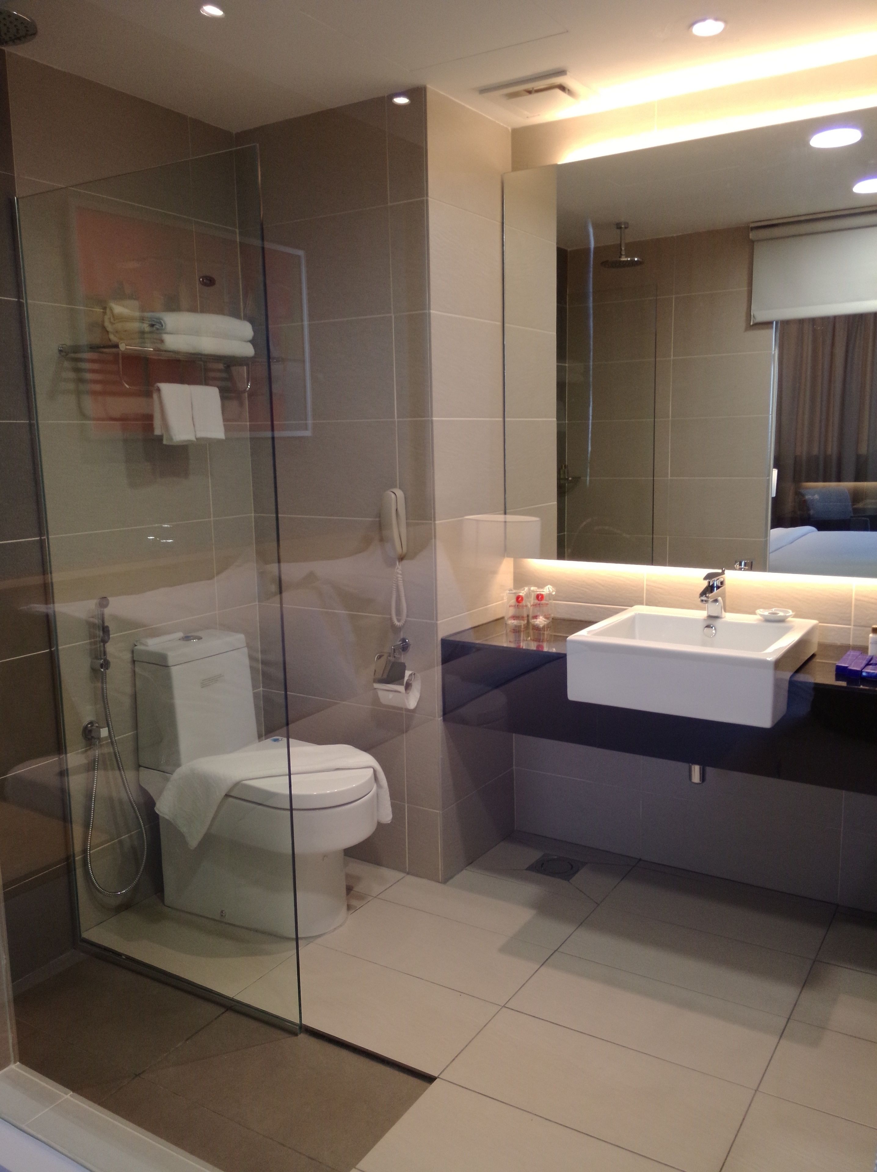 A modern bathroom with a glass-enclosed shower, a white toilet, and a sink with a mirror above it.